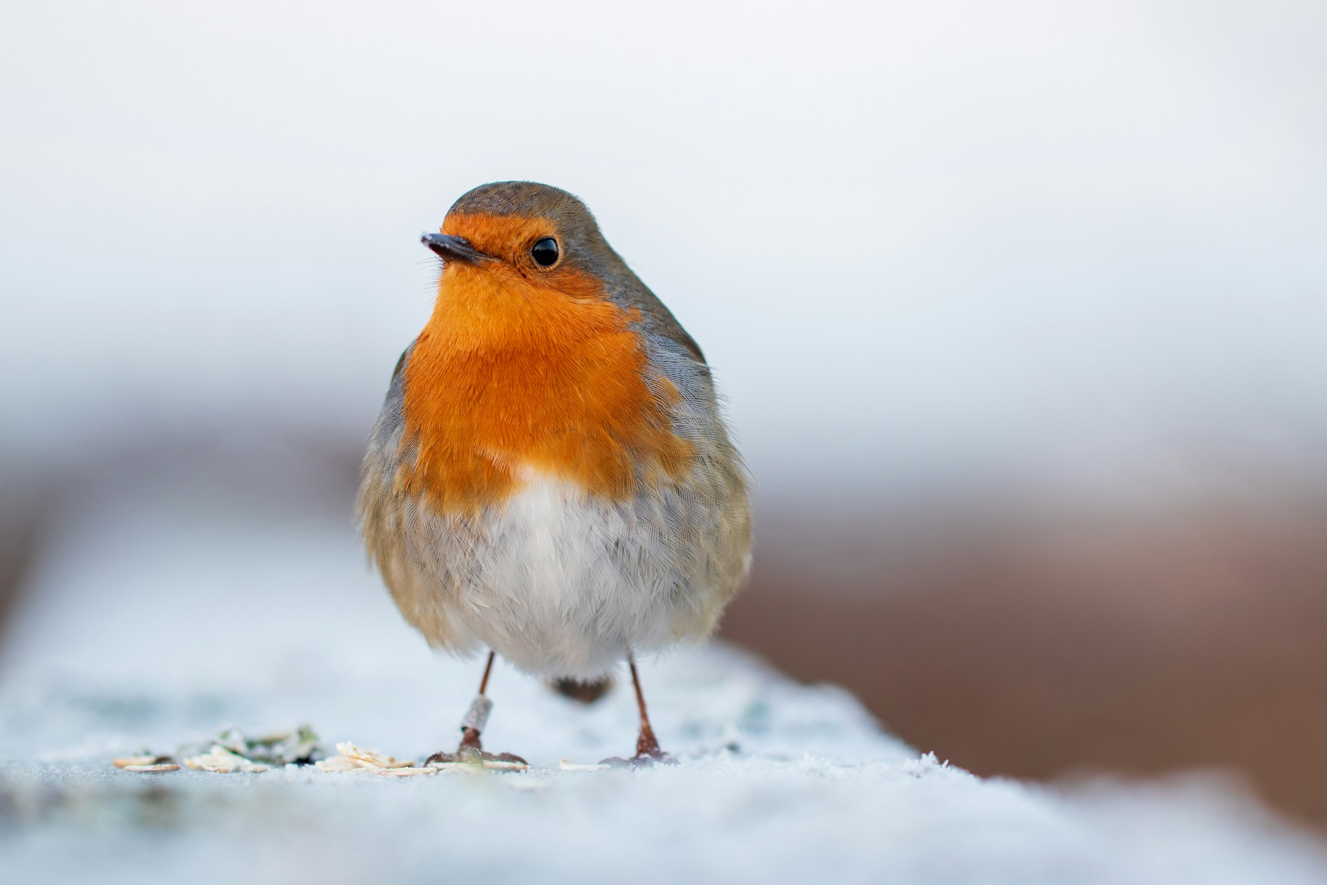 Photo by Pete Godfrey on Unsplash.