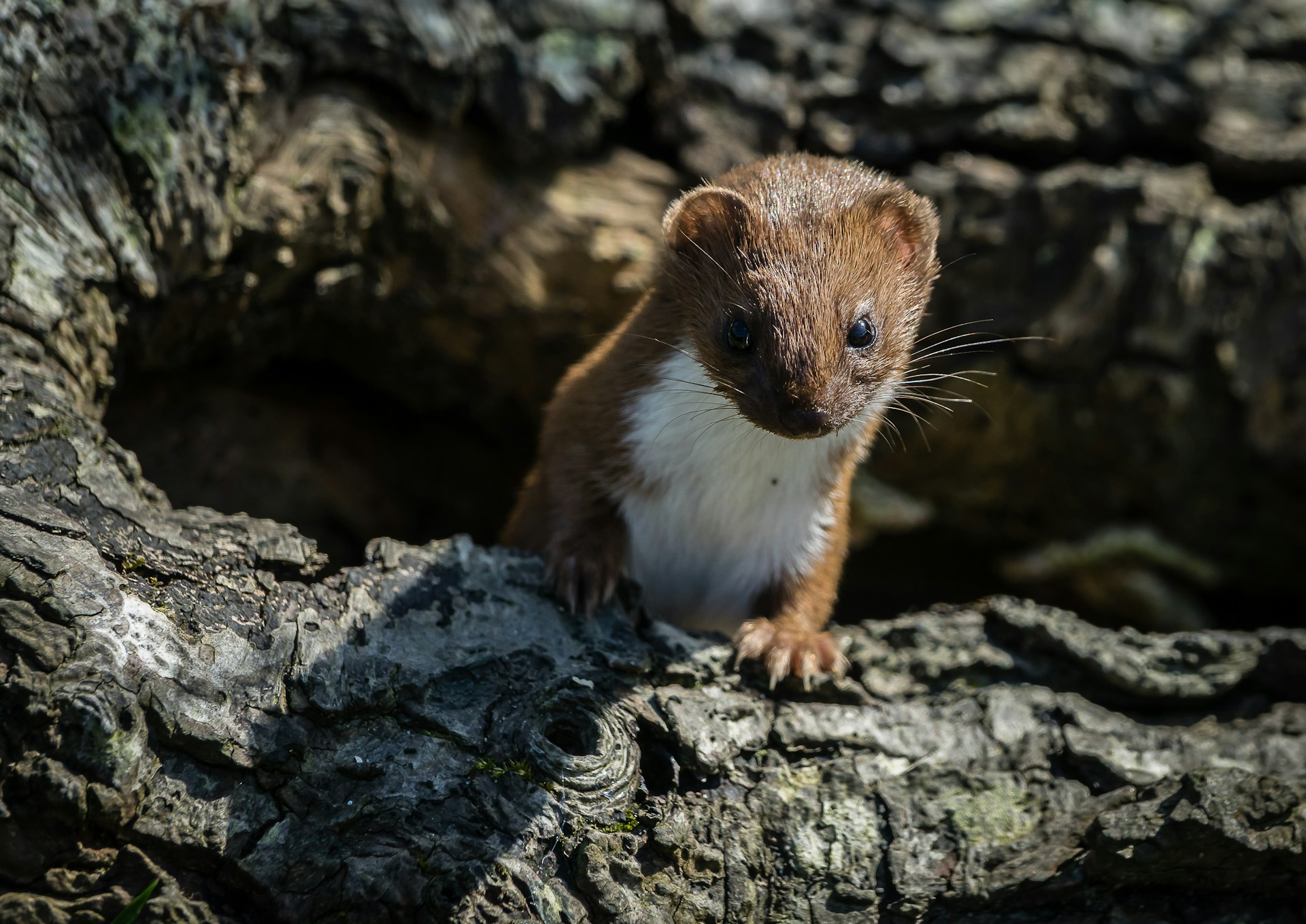 Photo by James Armes on Unsplash